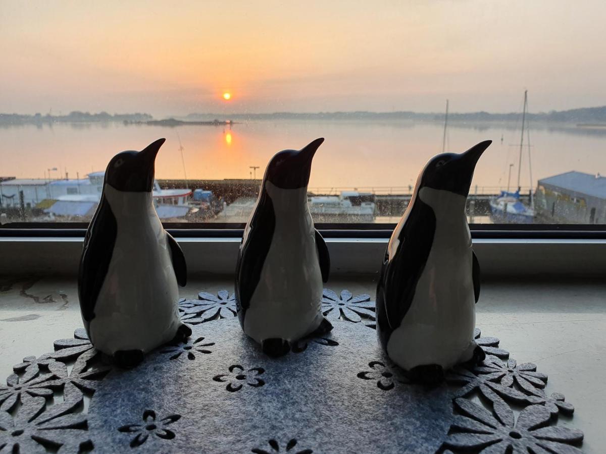 Ferienwohnung Schleiloge Mit Panoramablick Auf Die Schlei Schleswig Kültér fotó